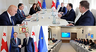 Türkiye Ombudsmanı Malkoç Gürcistan Başbakanı İle Görüştü