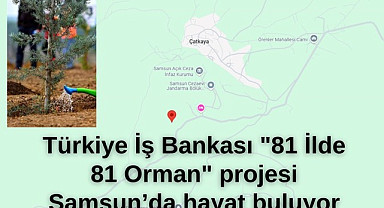 81 İlde 81 Orman Projesi Samsun'da Hayat Buluyor!