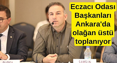 Eczacı Odası Başkanları Ankara'da olağan üstü toplanıyor