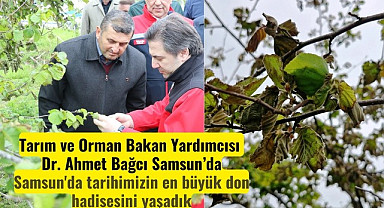 Tarım Bakan Yardımcısı Bağcı Samsun'daki don hasarını yerinde inceledi