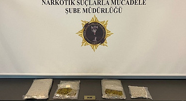 Samsun'da Otogarda 2 Kilo 150 Gram Skunk Ele Geçirildi! Skunk nedir?