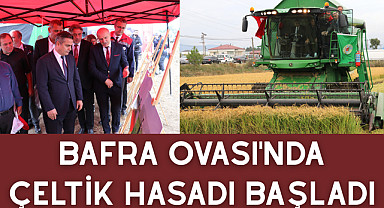 Bafra Ovası'nda Çeltik Hasadı Başladı