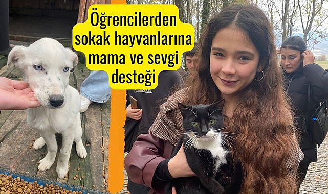 OMÜ Öğrencileri ve Akademisyenlerinden Sokak Hayvanlarına Dev Destek: Barınağa 312 KG Mama Bağışı!