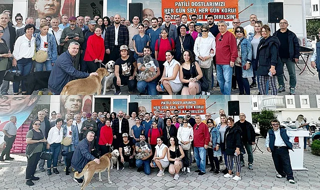 CHP Atakum'da patili dostlar için 1 ton mama dağıttı