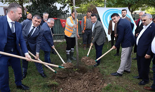 Çarşamba'da fidanlar dikildi
