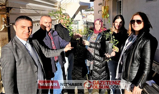 Kavak'ta üreticiye kuşburnu fidanı dağıtıldı