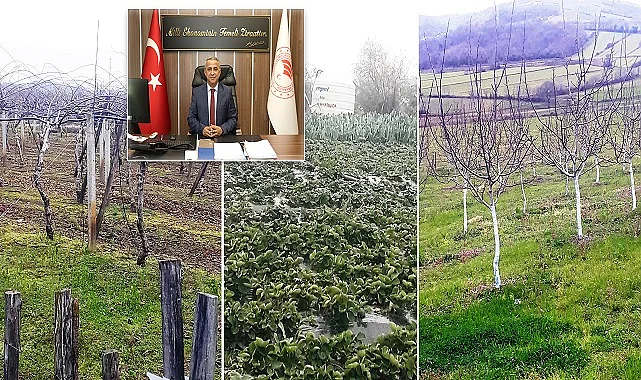 Meyvecilikte Gübrelemenin Önemi! Meyve gübrelemesi nasıl yapılmalı?