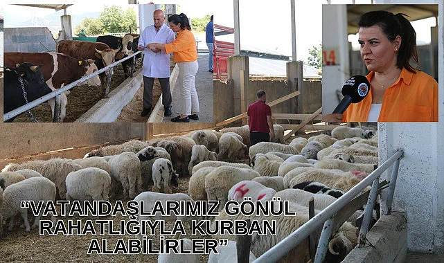 Atakum Belediyesi Kurban Satış ve Kesim Yeri bayrama hazır
