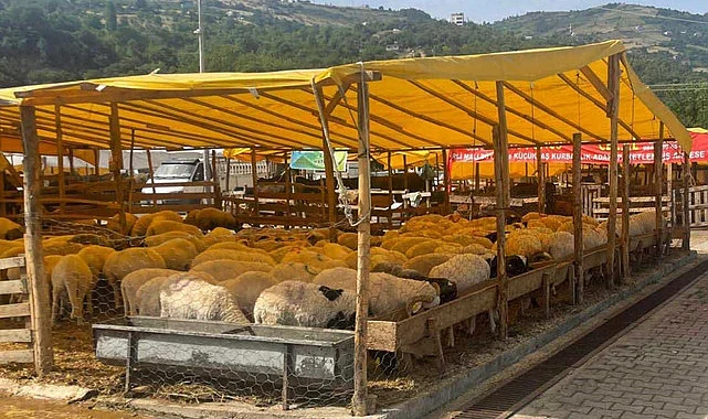 Kurban eti sıcakken plastik kaplara ve poşetlere konulmamalı!