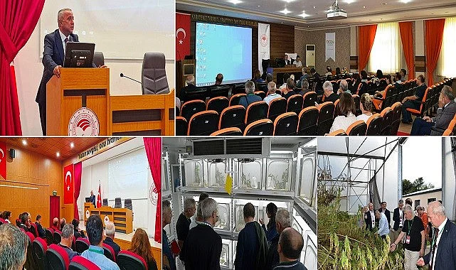 Samsun'da Bitkisel Üretim ve Bitki Sağlığı Konuşuldu