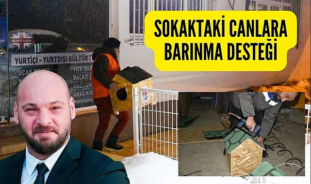 Atakum Belediyesi'nden sokak hayvanlarına barınma evleri