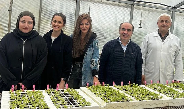 Samsun'da Dayanıklı Marul Yetiştirilmesine Yönelik Projeye Destek