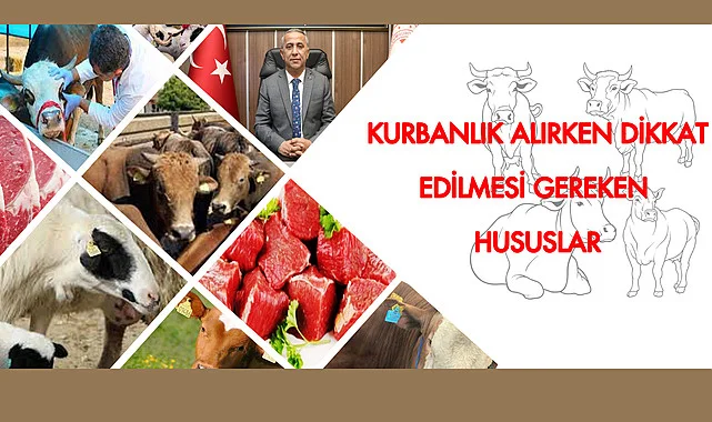Kurbanlık Hayvan Seçilirken Dikkat Edilecek Hususlar