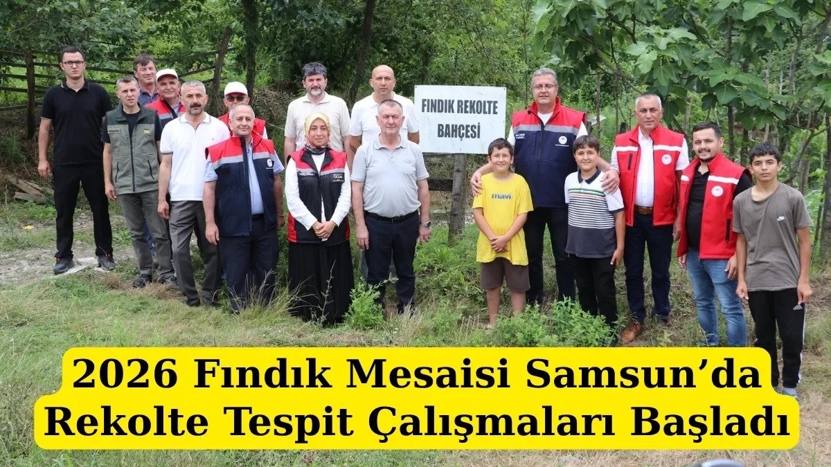 2026 Fındık Mesaisi Samsun’da Rekolte Tespit Çalışmaları Başladı