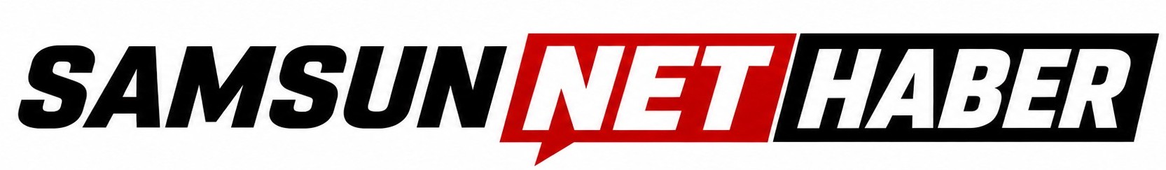Samsun Net Haber Logo